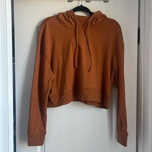 The Normal Brand cropped hoodie. Size L.